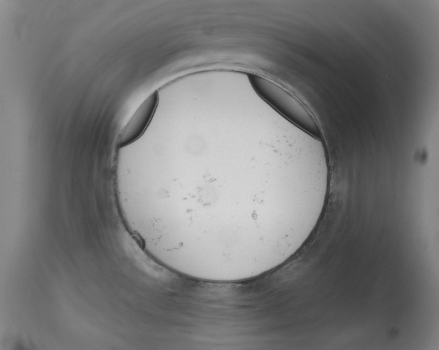 X0000113131532200910021404