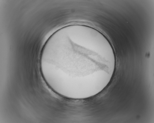 X0000113131533200910021404