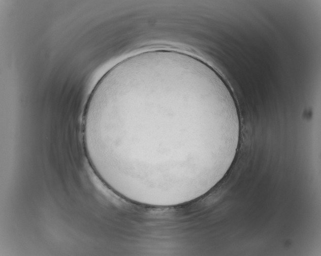 X0000113131535200910021404