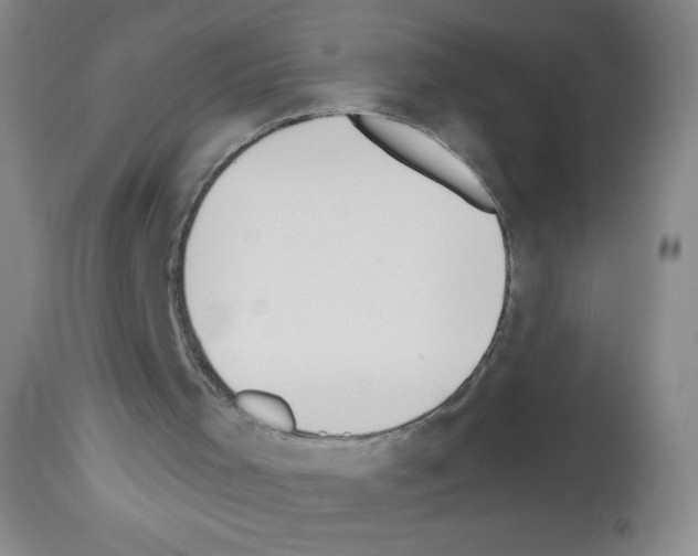 X0000113130001200910161143