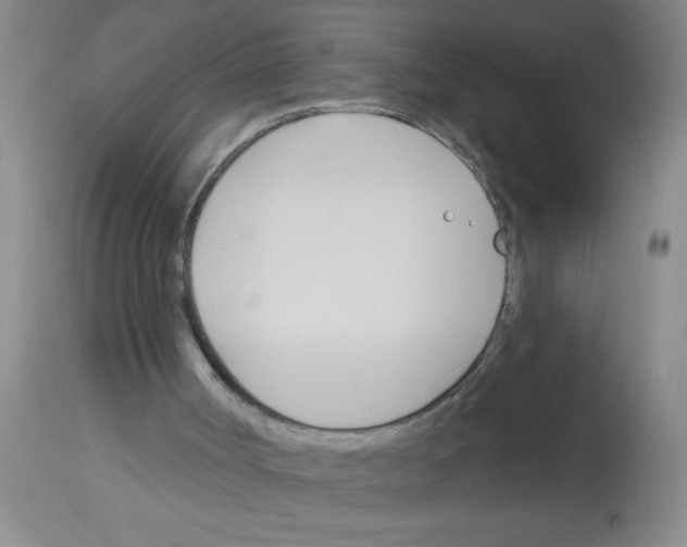 X0000113130002200910161143