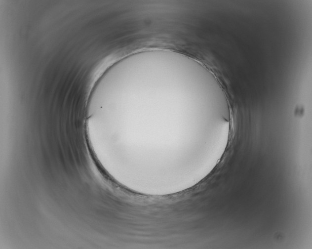 X0000113130003200910161143