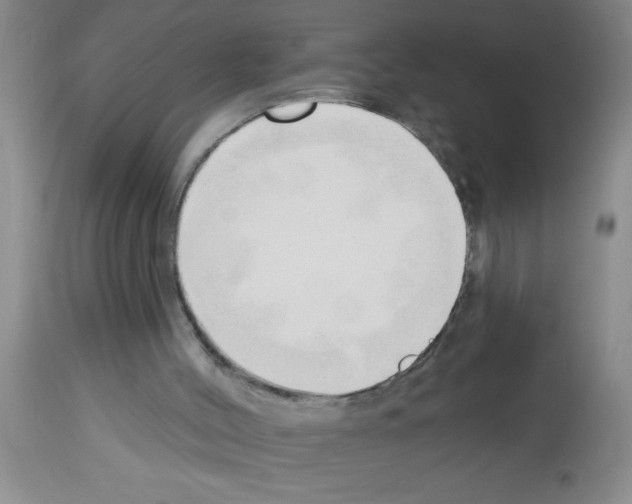 X0000113130004200910161143