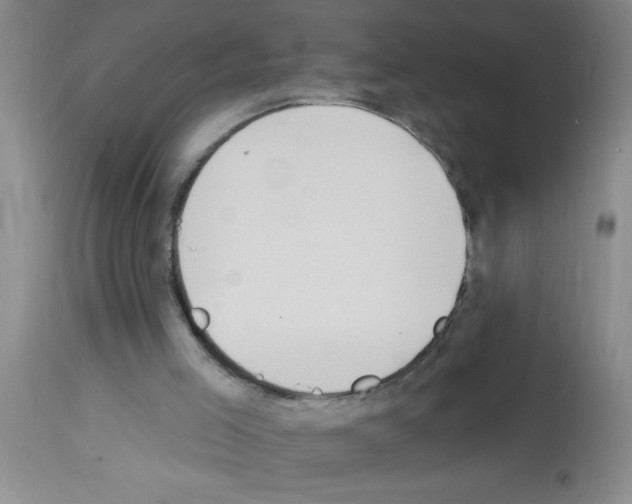 X0000113130005200910161143