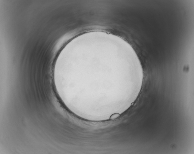 X0000113130006200910161143