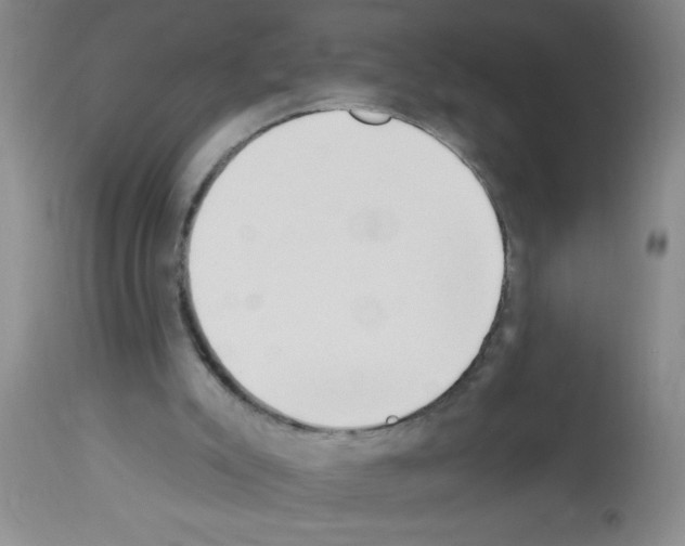 X0000113130007200910161143