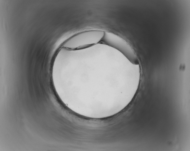 X0000113130008200910161143