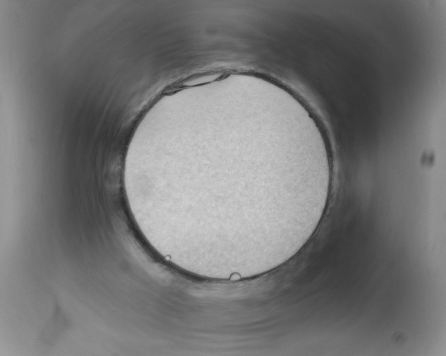 X0000113130009200910161143