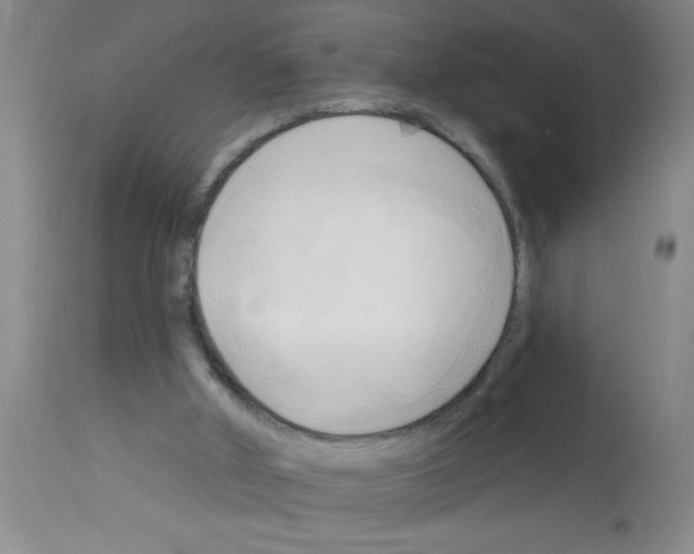 X0000113130010200910161143
