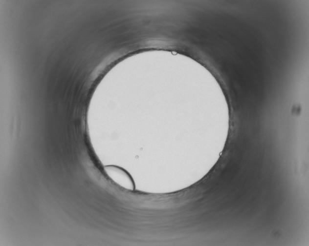 X0000113130011200910161143