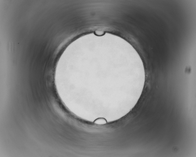 X0000113130012200910161143