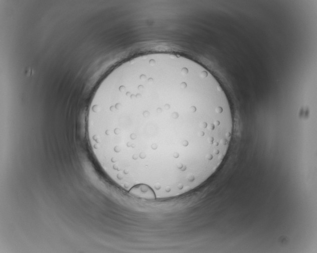 X0000113130014200910161143