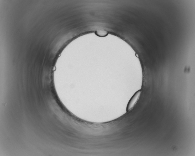 X0000113130015200910161143