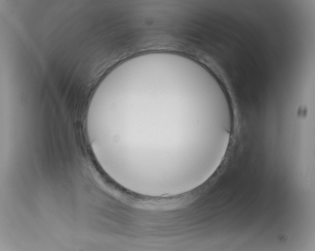 X0000113130017200910161143