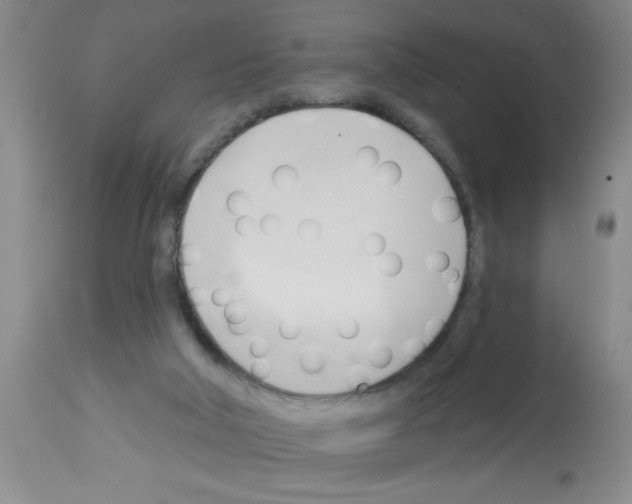 X0000113130018200910161143