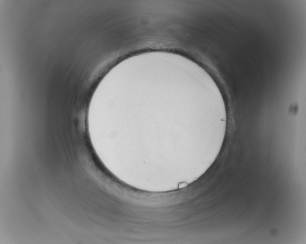 X0000113130019200910161143