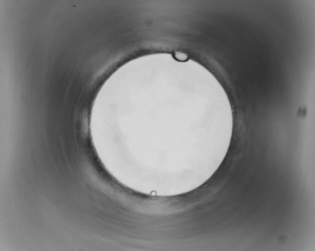 X0000113130020200910161143