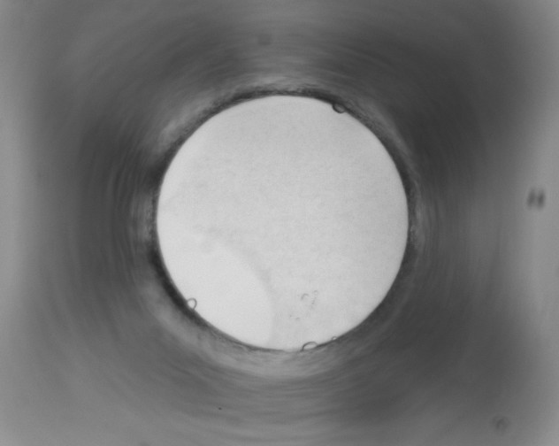 X0000113130023200910161143