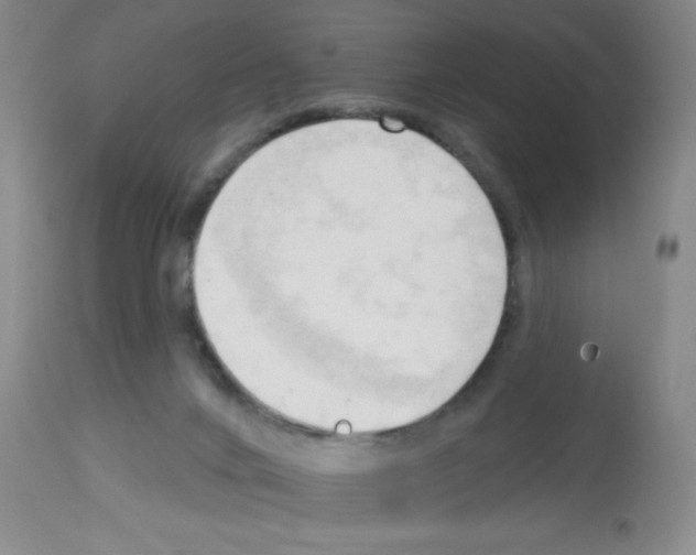 X0000113130024200910161143