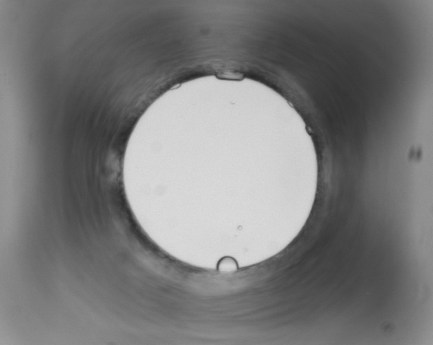 X0000113130025200910161143