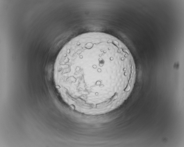 X0000113130026200910161143