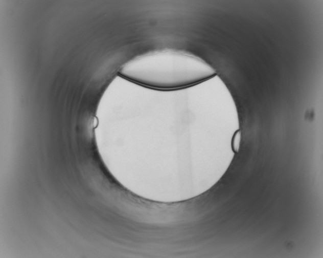 X0000113130027200910161143
