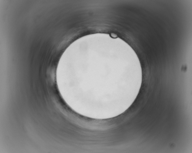 X0000113130028200910161143
