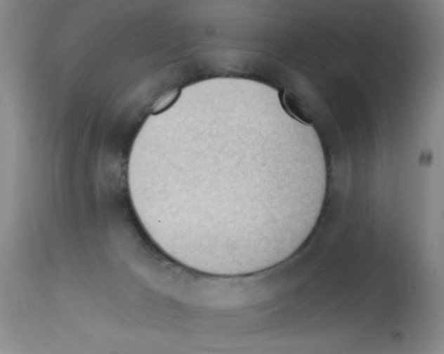 X0000113130029200910161143