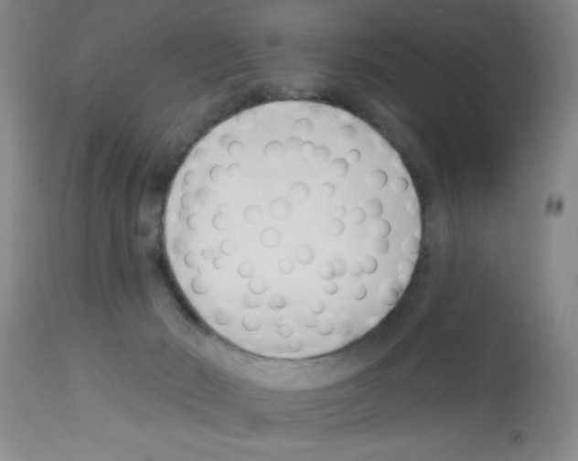 X0000113130030200910161143