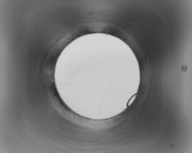 X0000113130031200910161143