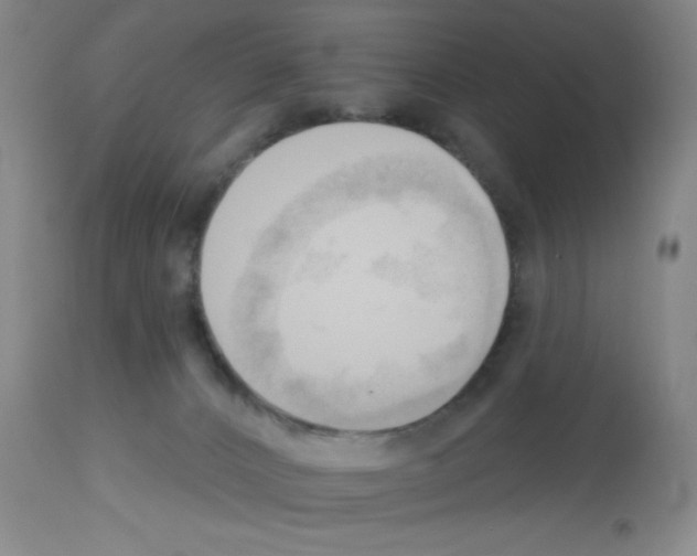 X0000113130032200910161143