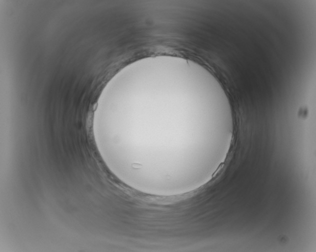 X0000113130033200910161143