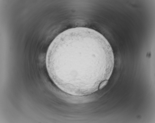 X0000113130034200910161143