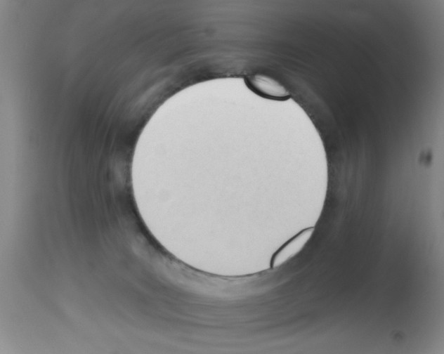 X0000113130035200910161143