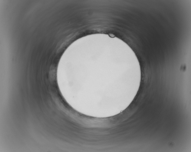 X0000113130036200910161143
