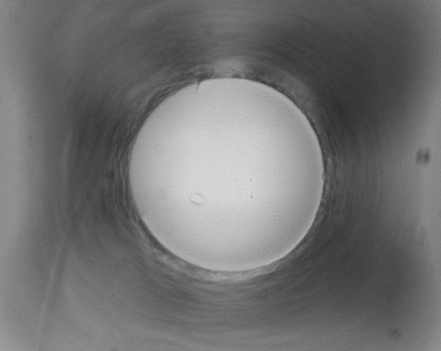 X0000113130037200910161143