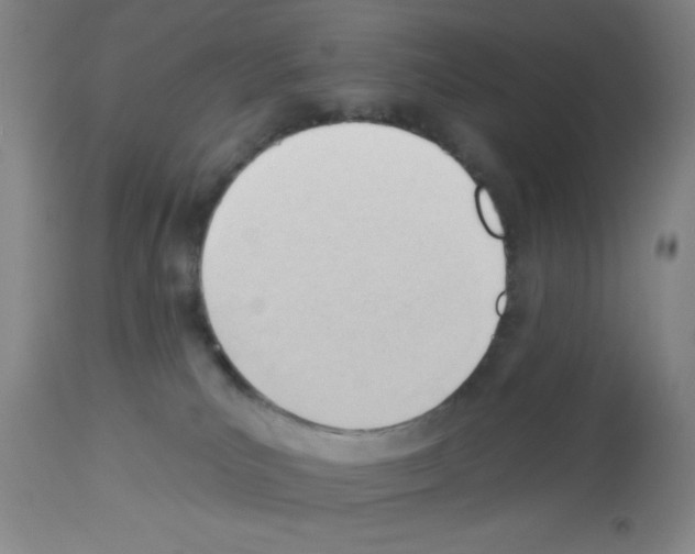 X0000113130039200910161143