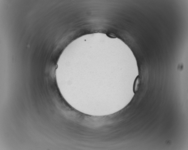 X0000113130041200910161143