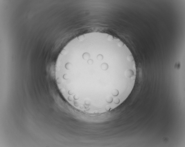 X0000113130042200910161143