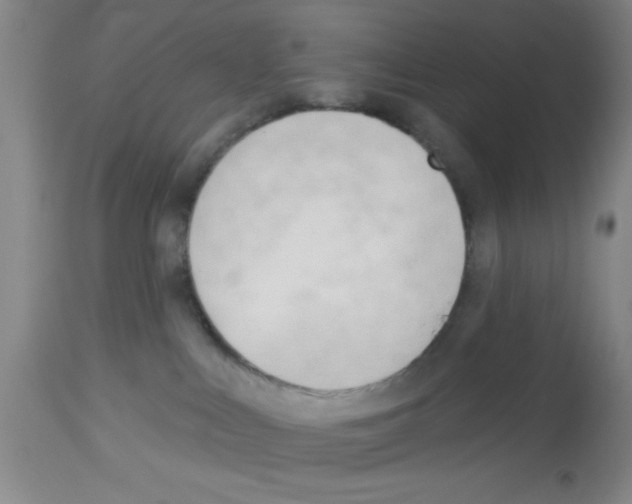 X0000113130043200910161143