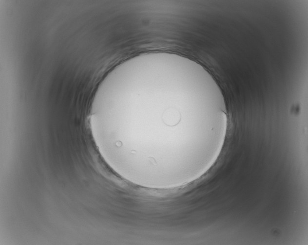 X0000113130045200910161143