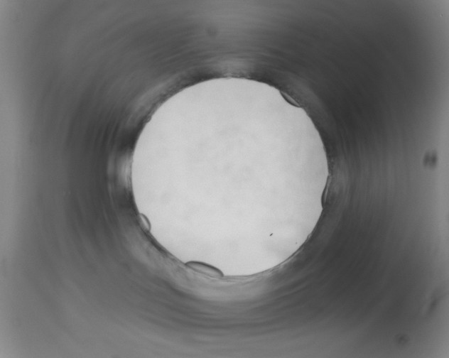 X0000113130047200910161143