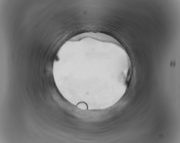 X0000113130048200910161143