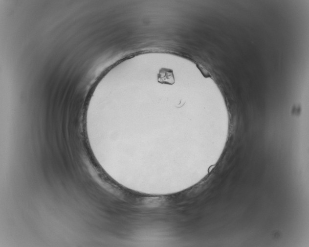 X0000113130050200910161142