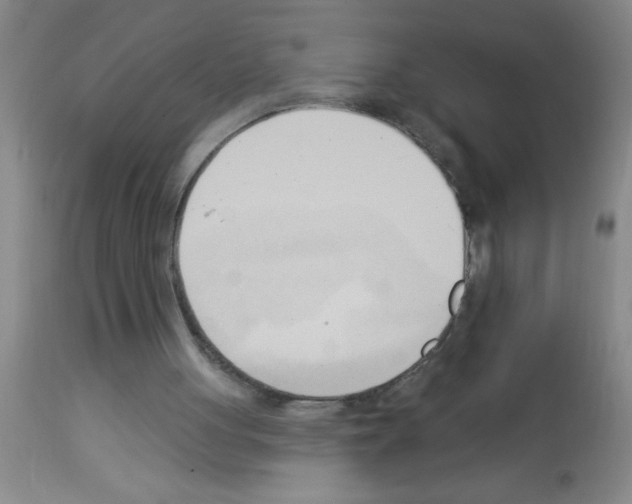 X0000113130051200910161142