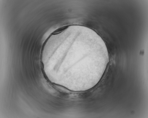 X0000113130052200910161142