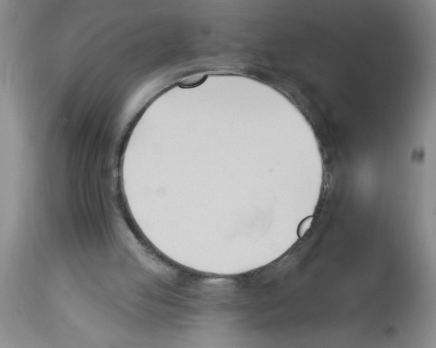 X0000113130053200910161142