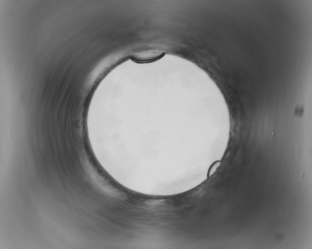 X0000113130054200910161142