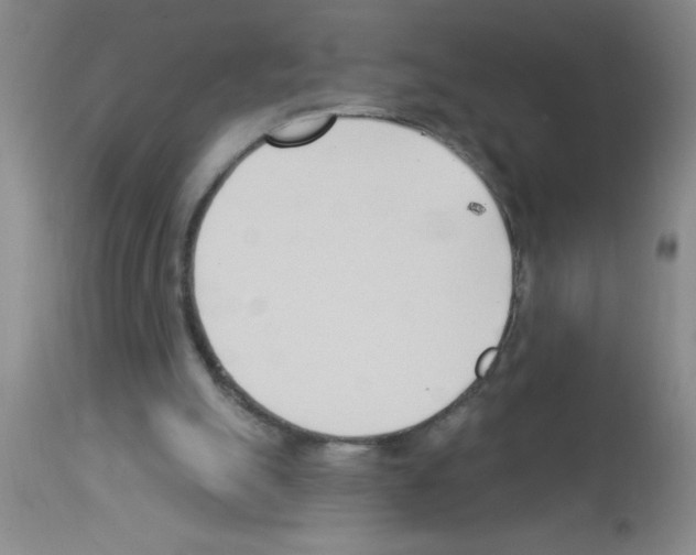 X0000113130055200910161142