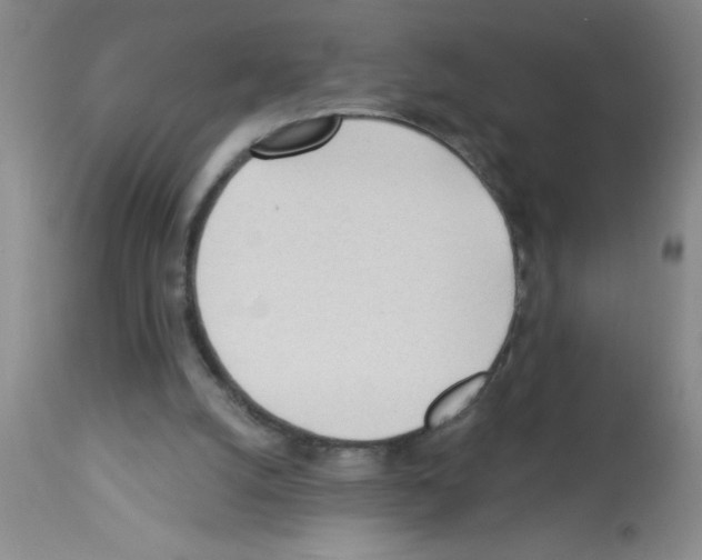 X0000113130056200910161142